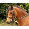 Windsor Equestrian Horses Bridle  Brown  Pony