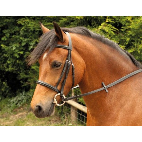 Windsor Equestrian Horses Bridle  Brown  Pony