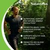 Pantothenic Acid, 1000 mg, 60 Tablets, NaturesPlus