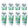 Lion Dent Check-Up Gel (Mint) 75g (8 pcs)