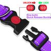 ATETEO Dog Collar,Reflective Adjustable Basic Dog Collar with Soft Neoprene Padding,Purple,Small Medium Large Dogs