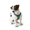 Hunter - Wire Harness Comfort Xs-S Turquoise