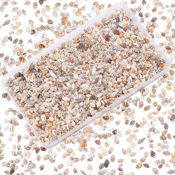 PH PandaHall 1400-1500pcs Sea Shell Beads 7-12mm Tiny Crushed Shells Miniature Shells NO Hole Seashells Ocean Spiral Seashells for Resin Candle Home Party Wedding Fish Tank Vase Filler