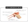 イシダ 箸 富士の雅 21cm 19560