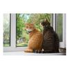 Pawscout Smarter Pet Tag: Cat Version Community Pet Tracker (Bluetooth, Not GPS)