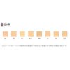 TK Powder Foundation (Refill) 41Y
