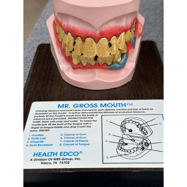 Mr. Gross Mouth from Health Edco Smokeless Tobacco Mouth Hinged Model