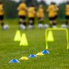 Mini Space Marker Set of 60 with carry strap training agility speed