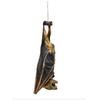 Real Preserved MUMMIFIED BAT Hanging Position Cynopterus Brachyotis