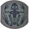 MSM FROG SKELETON MILSPEC MONKEY FOREST TACTICAL ARMY PVC HOOK MORALE PATCH