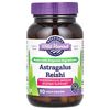 Astragalus Reishi, 90 Vegan Capsules