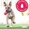 KONG Bounzer Dog Toy, Medium, Red