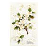 Spellbinders Mock Orange Etched Dies, Metal