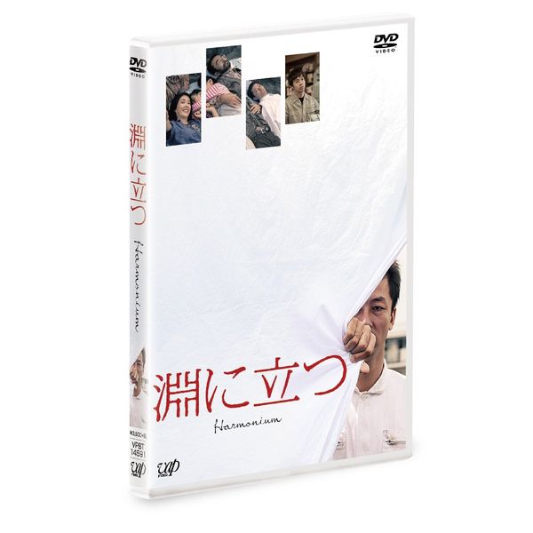 淵に立つ(通常版)[DVD]