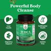 Advanced Bile Salt TUDCA Supplement - Extra Strength TUDCA 500mg Per Serving