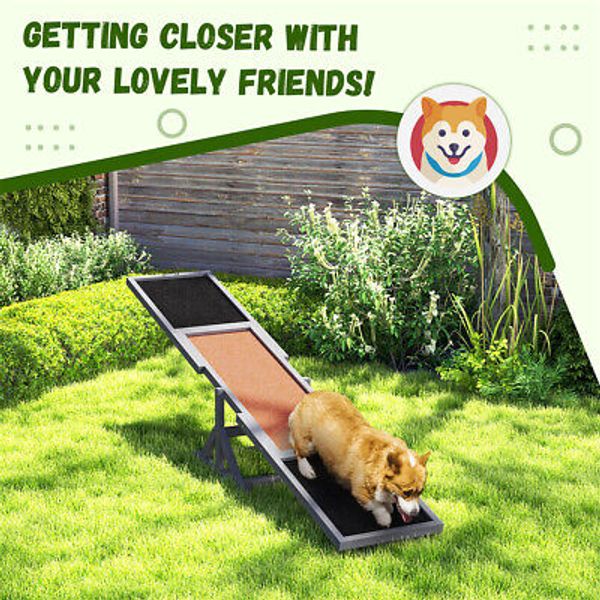 Pet Training Ramp and Seesaw for Dogs Fun Obstacle Course Equipment