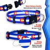 Native Pup Colorado Flag Dog Collar (Colorado Blue, Small)