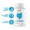 Pure Digest- Digestive Support- 60 Capsules