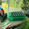 Abaseen Green Visiroot 4 Cell Deep Kit Propagation Maximize Plant Propagation Efficiency with Versatile and High-Performance Solution