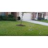 Orbit SunMate Oscillator Sprinkler, 3600 Square Feet