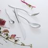 Todai 18-8 Albi Tablespoon 005703
