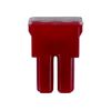 Connect 30478 Female PAL Fuse 50A Red 10pc