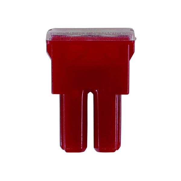 Connect 30478 Female PAL Fuse 50A Red 10pc
