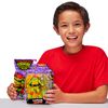 TEENAGE MUTANT NINJA Turtles Raphael Basic Figure