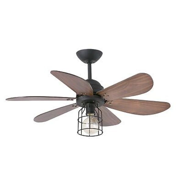 Small Ceiling fan with Light Chicago Black Walnut 36" 91 cm Fan with Remote