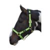 Hy Deluxe Padded Head Collar: Green: full size