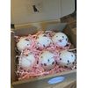 cat Bath Bomb Sensitive Skin (One cat in Gift wrap)