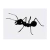 Large 'Ant' Temporary Tattoo (TO00029267)