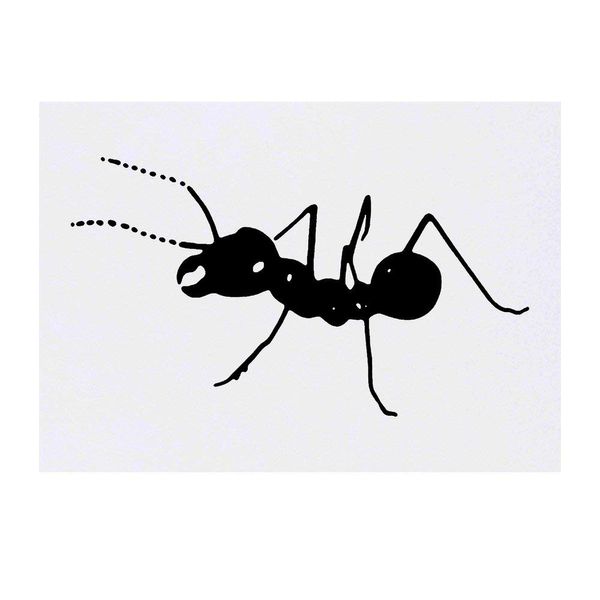 Large 'Ant' Temporary Tattoo (TO00029267)