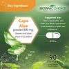 Botanic Choice Premium Natural Aloe Vera Supplement - Digestive Health Support Leaf and Latex Herbal - Gluten Free Non-GMO - 90 Capsules (500 mg each)