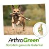 ArthroGreen Classic, 25 g
