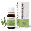 Pranarom Eucalyptus Lemon, 0.3 fl oz (10 ml) (PRANAROM Chemo Type Essential Oil)