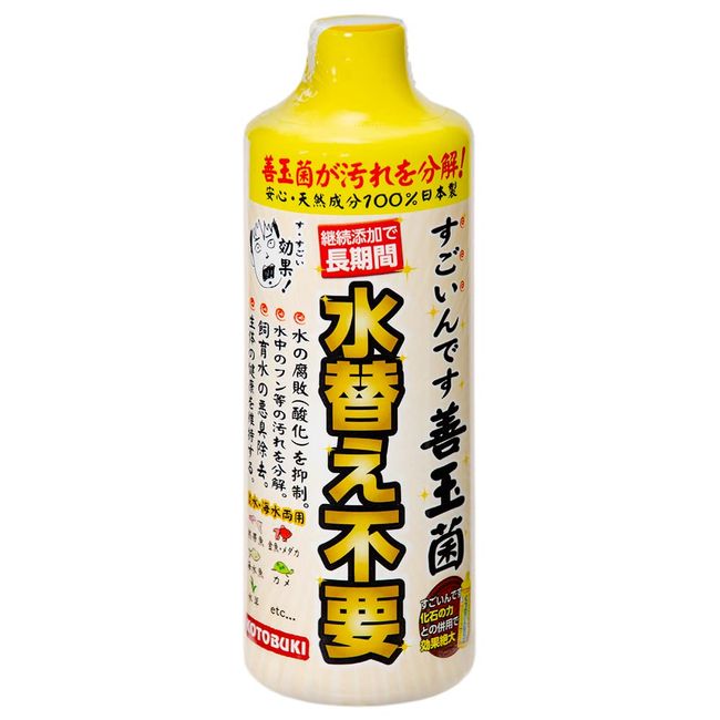 Kotobuki Kogei Amazing Good Bacteria, 16.2 fl oz (480 ml)