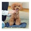 T&S Pechiko 3900-L Pet Cushion, Navy