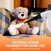 Pressurized Handheld Multi-Surface Steamer Steam Cleaner with 12pc Cleaning Kit