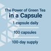 Life Extension Decaffeinated Mega Green Tea Extract – Polyphenol-Rich, Cell Health, Heart Health, Brain Health, Antioxidant Protection – Non-GMO, Gluten-Free, Vegetarian – 100 Capsules
