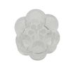 Fantasia Empty Round Acrylic Organizer Number 1256