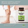 Butchers Broom - Leg Vein Circulation, Blood Support