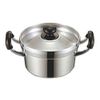 tooyama Turtle Mark Culture Pot 16 cm < 2.5 >