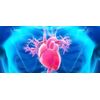 muscle relaxer pills - Valerian Root Extract - sleeping pills - 2 Bottles