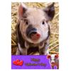 Pig/Piglet Animal Valentines Day Card