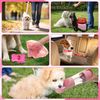 50 Pcs Puppy Starter Kit for Small Dogs Essentials Includes Leash, Bowls, Teeth