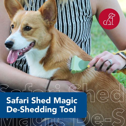 Coastal Pet Safari Shed Magic Deshedding Tool for Dogs with Medium to Long Hair - Deshedding & Detangling Dog Brush - Large