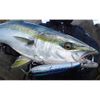Duel Lure HC Bullet Dive 200mm #06 HSBL