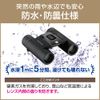 OM SYSTEM 10x25 Binoculars, Small, Lightweight, Waterproof, Black, 10X25WP II, BLK