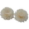 12 x Natural Diffuser Flowers - Lrg Carnation on String